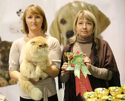 �������� �����  18-19 ������� 2014 ������������ ��� 2-189-169A2775 copy.jpg